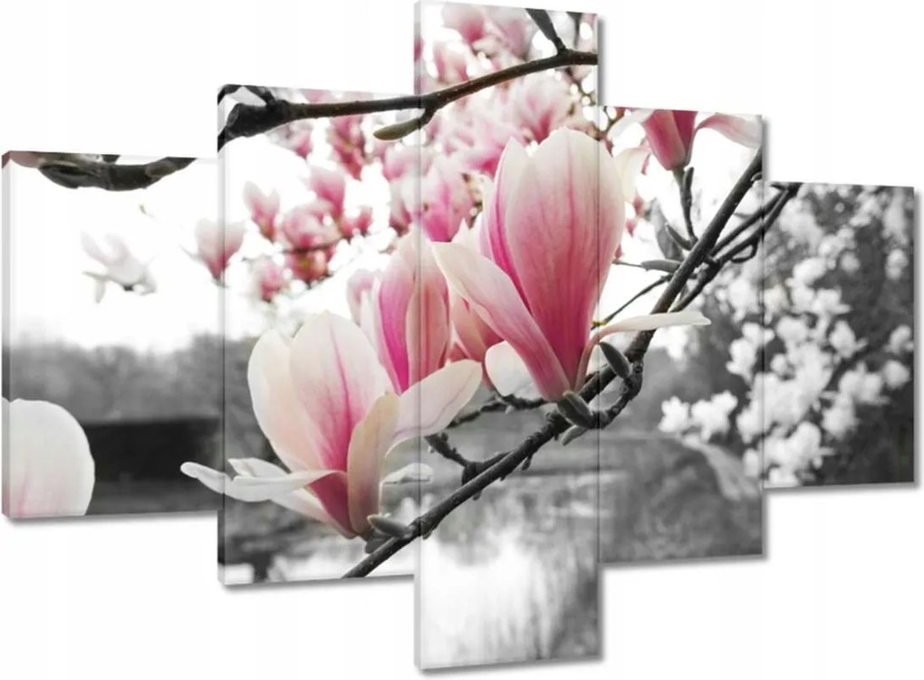 Vászonkép 100x70 Magnólia Virágok