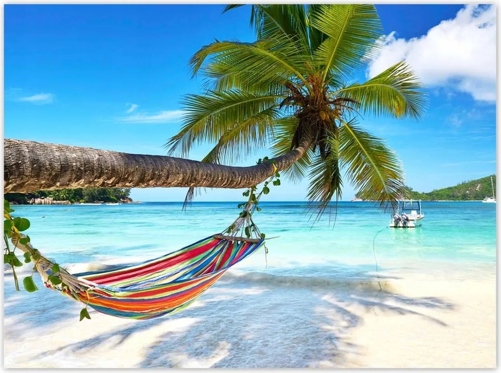 Poszterek 135x100 Trópusok Tájképek Pálmafák