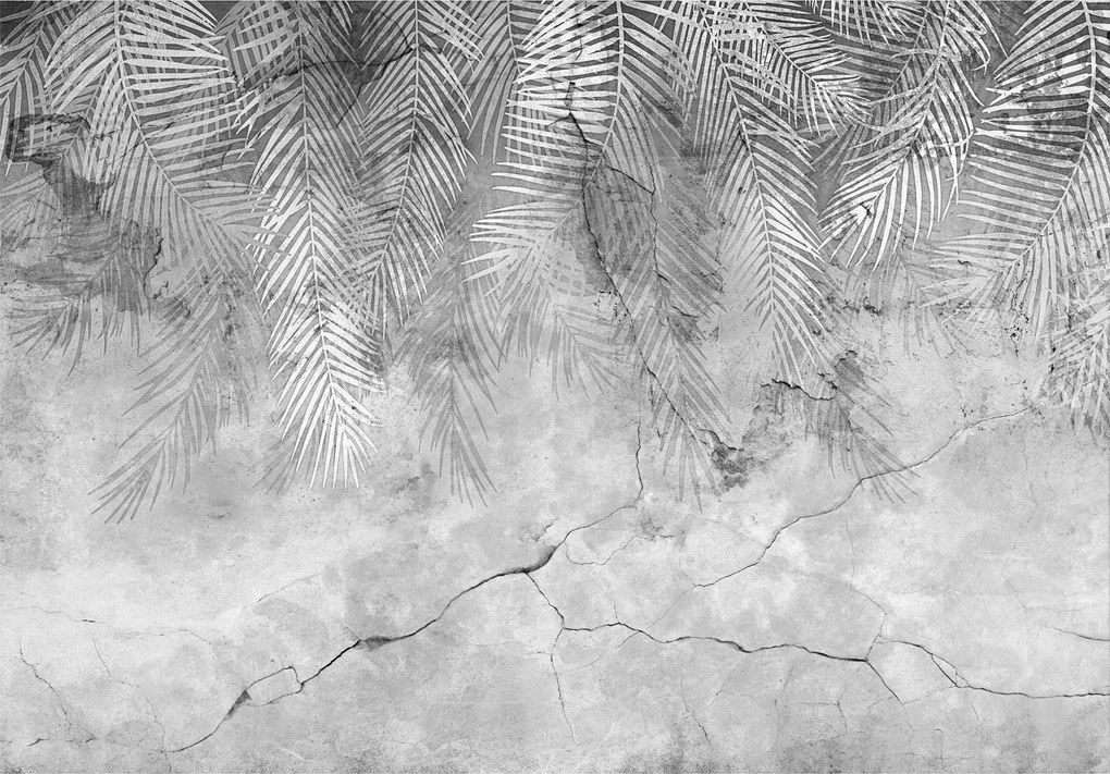 Fotótapéta Pálmalevelek Beton Tollak Hálószoba Nappali Tapéta 400x280