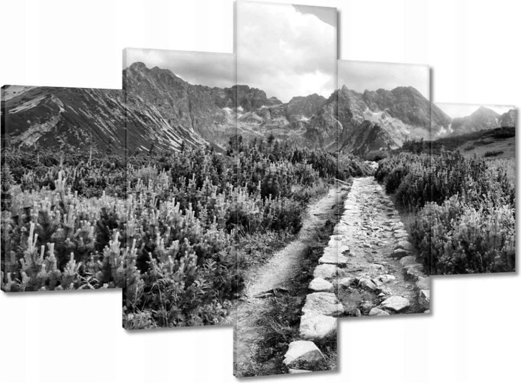 Képek 100x70 Tátra Lengyel hegyek Kilátás