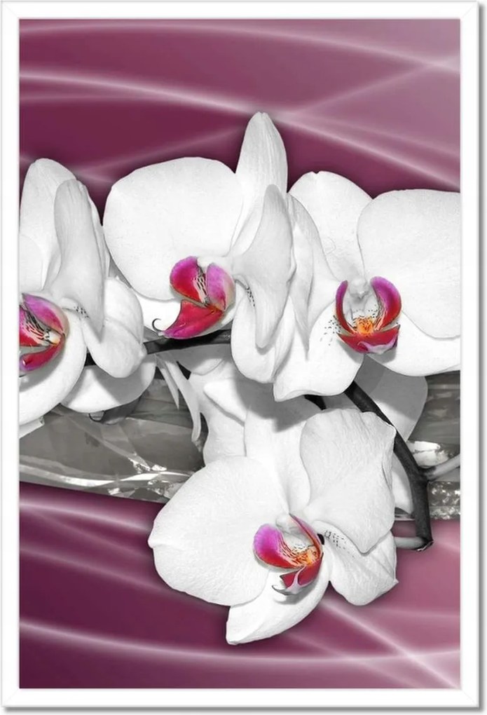 Poszterek keretben 40x60 Fehér orchideák rózsaszín alapon