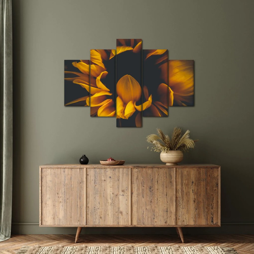 Kép - Napraforgó fekete háttérben (150x105 cm)