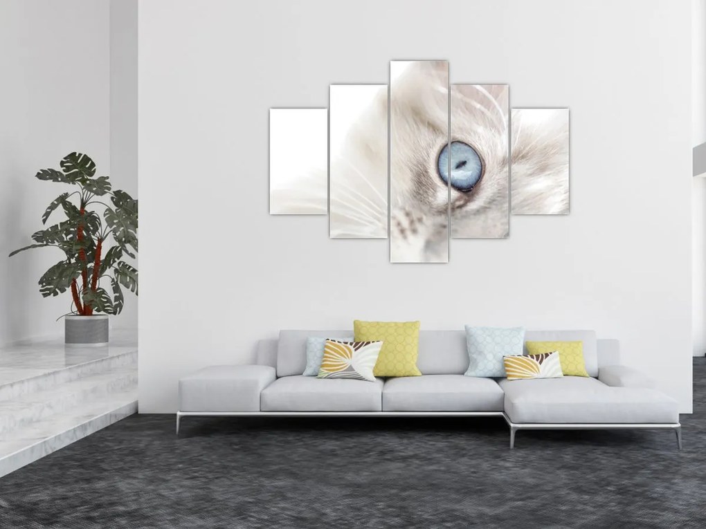 Kép - Kék szemű macska (150x105 cm)