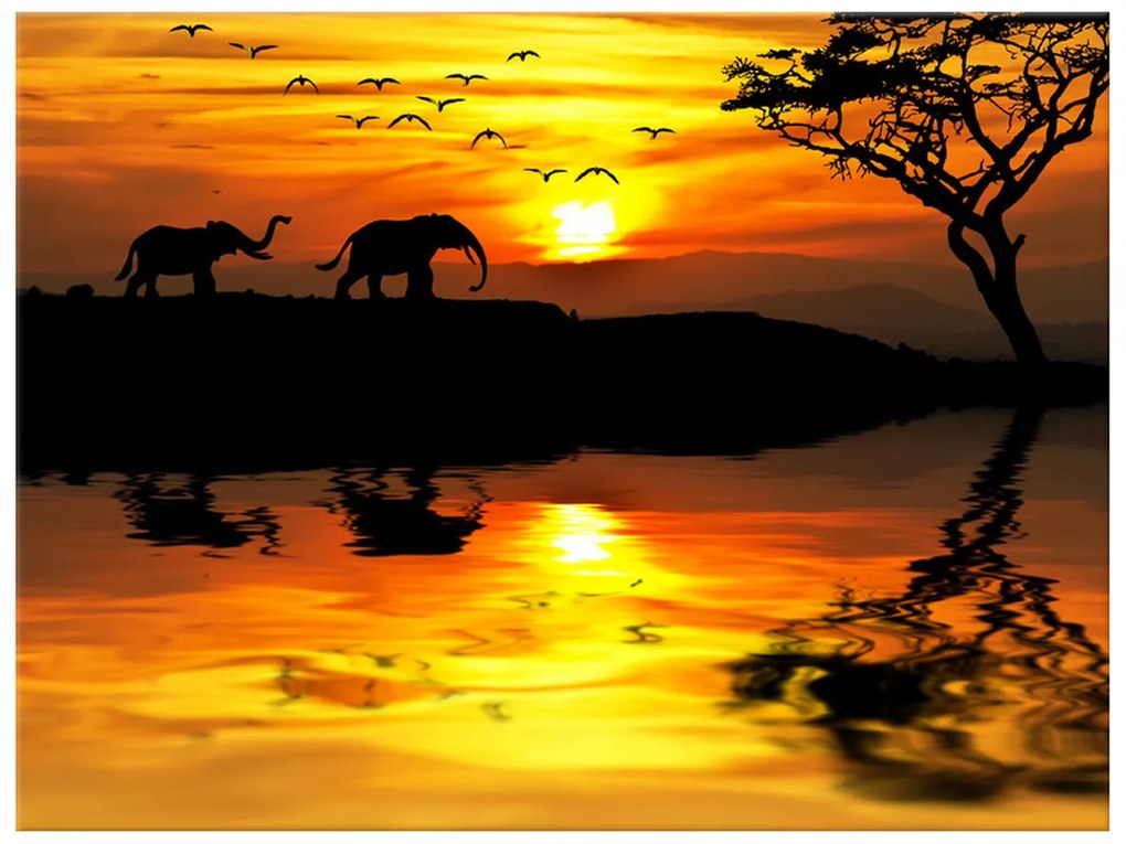 Gario Vászonkép Afrika Méret: 100 x 40 cm