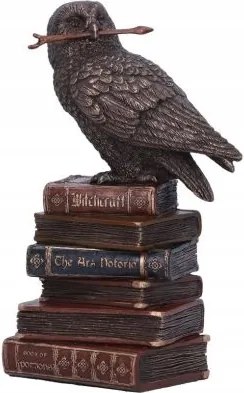 Bagoly Spellcraft Boszorkányok Ismerős Bagoly Könyves Figura a Nemesis England-től