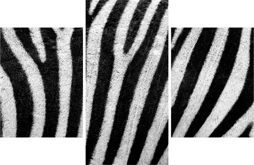 Kép egy zebra bőrről (90x60 cm)
