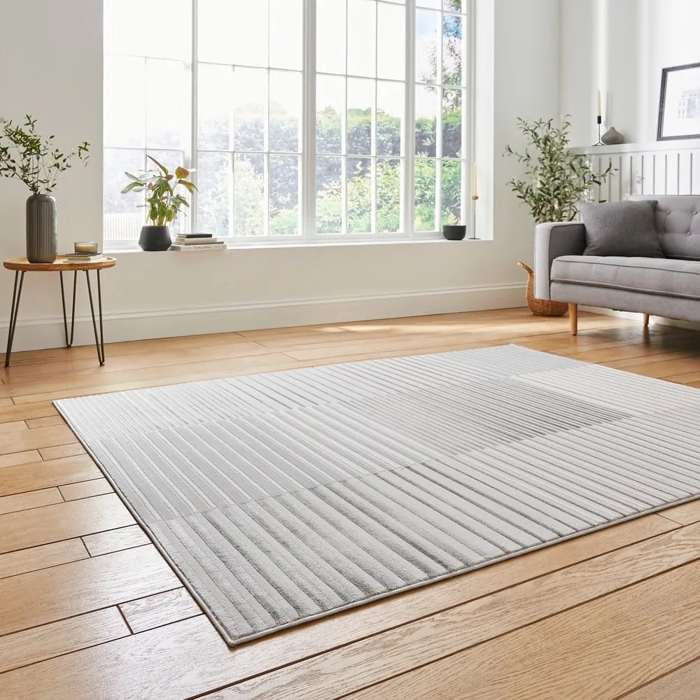 Szürke-bézs szőnyeg 220x160 cm Apollo - Think Rugs