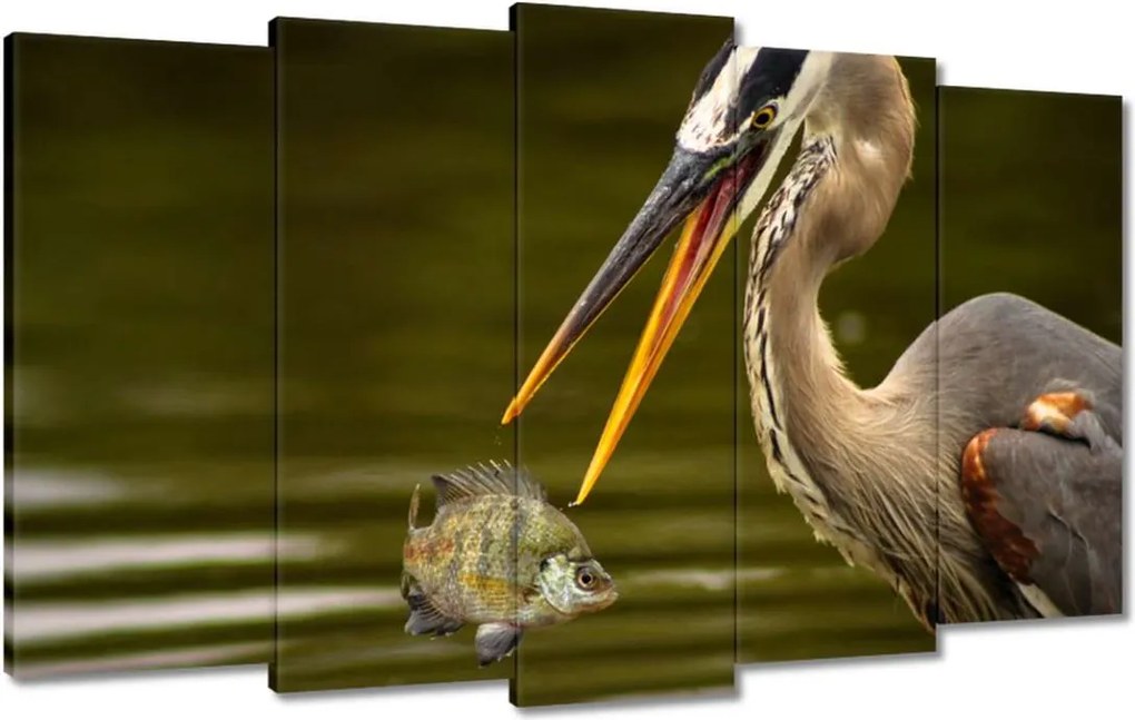 Vászonkép 100x60 Kalapos madár Tájkép Kilátás