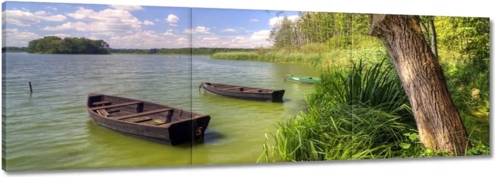 Vászonkép 60x20 Séta a Wolsztyn parkban