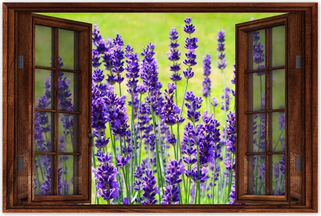 Poszterek 90x60 Levendula virágok