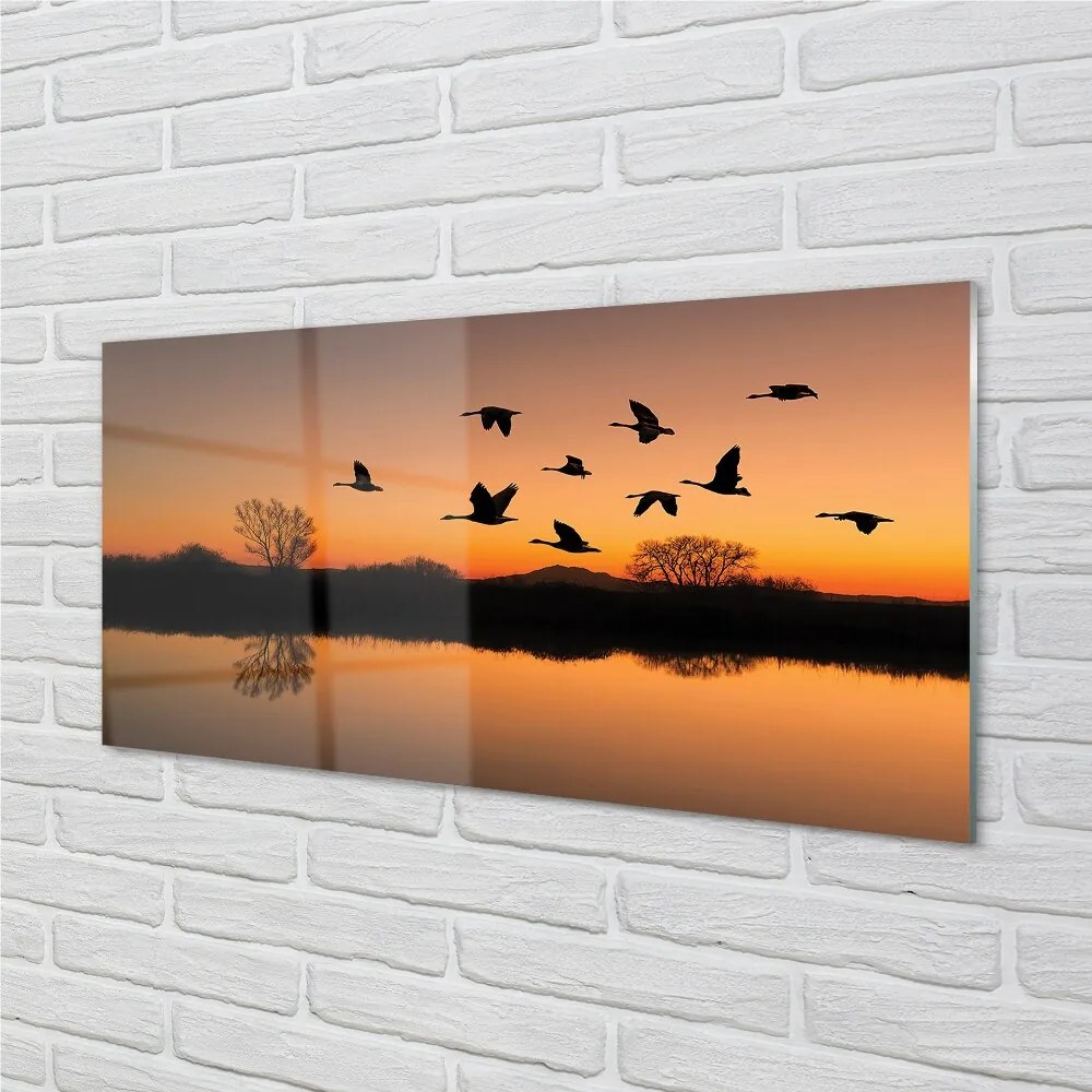 Üvegképek Repülő madarak naplemente 125x50 cm