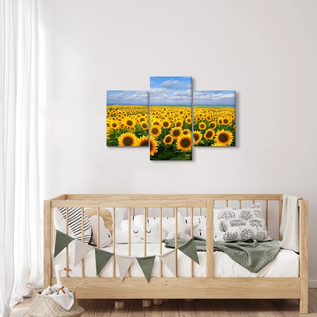 A napraforgó mező képe (90x60 cm)