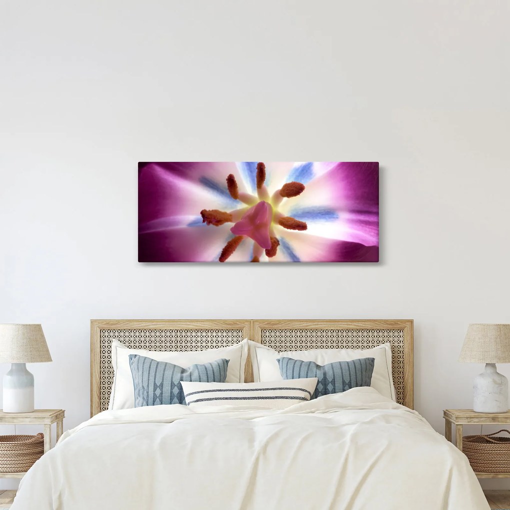 Kép - Tulipán virág részletesen (120x50 cm)