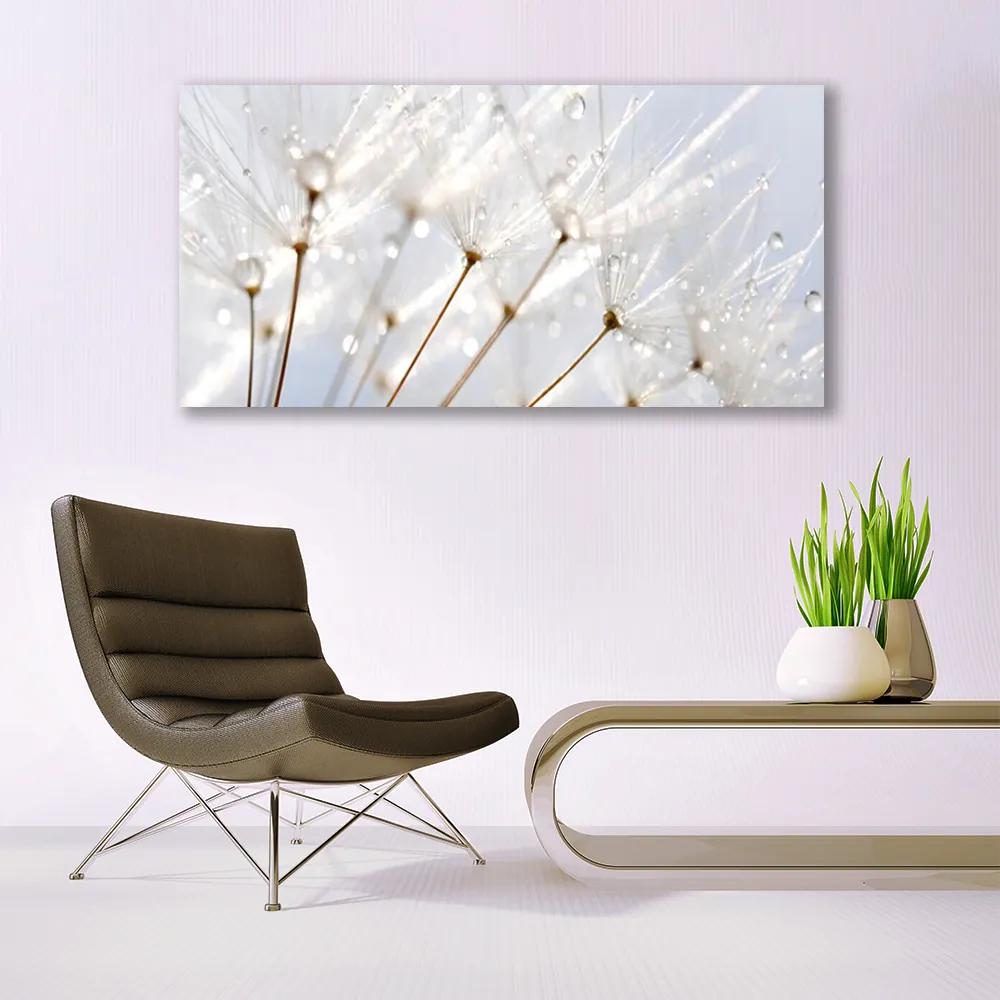 Canvas kép pitypang növény 100x50 cm
