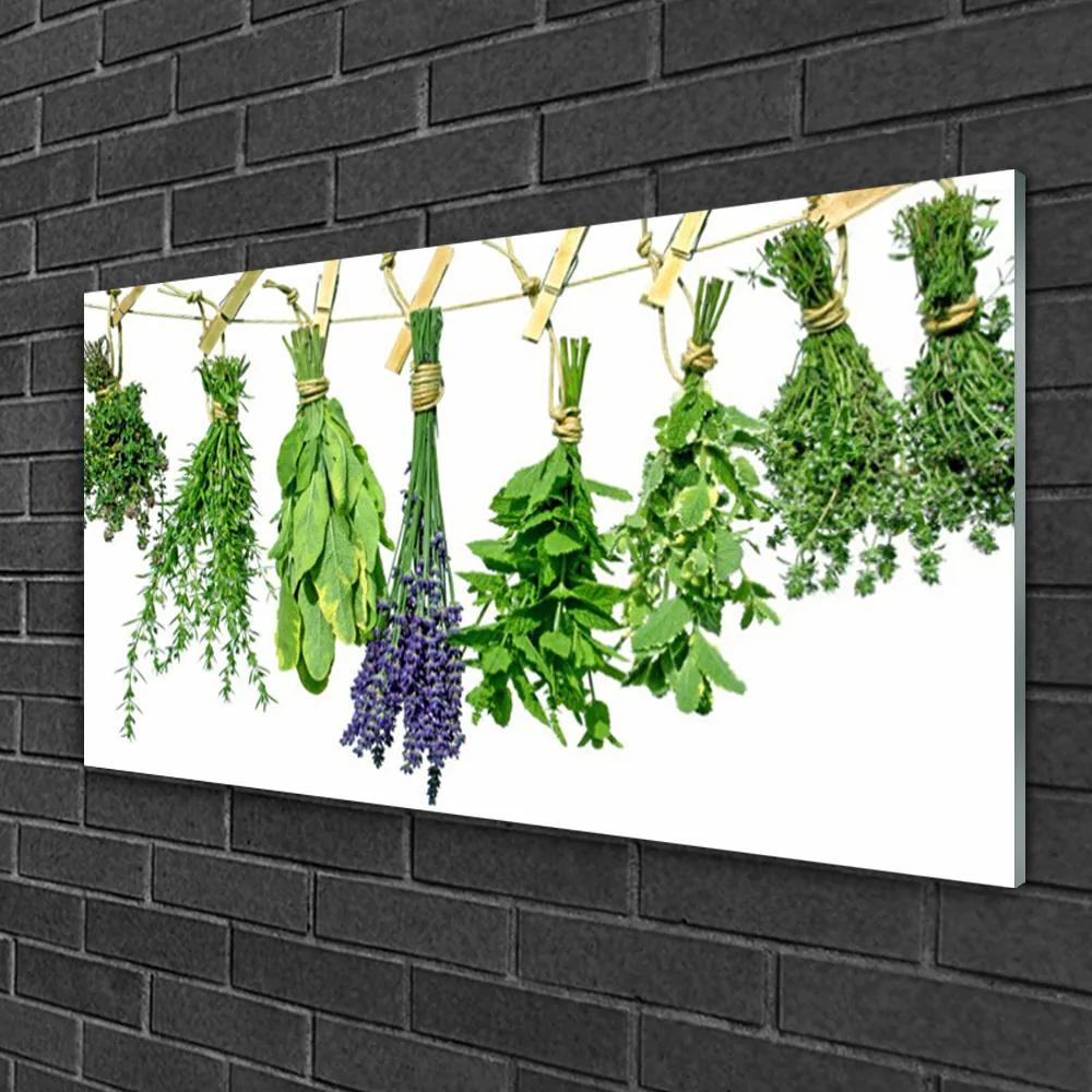 Akrilkép Szirmok virágok Gyógynövények 120x60 cm