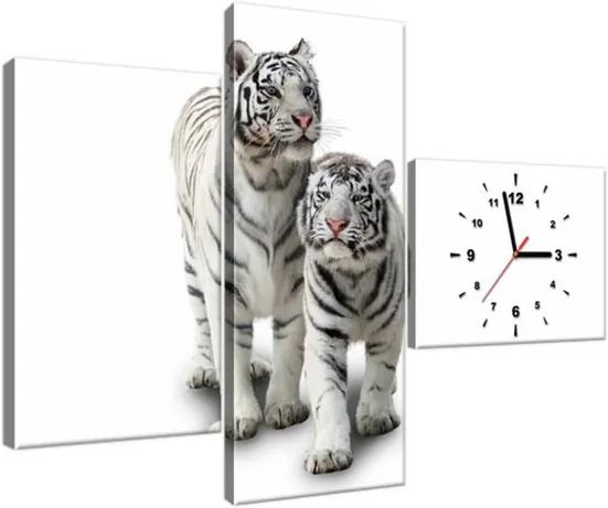 Órás falikép Fehér tigrisek 100x70cm ZP1270A_3AW