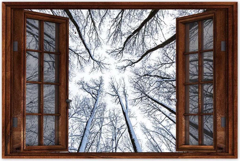 Poszterek 60x40 Fa Fák Kilátás