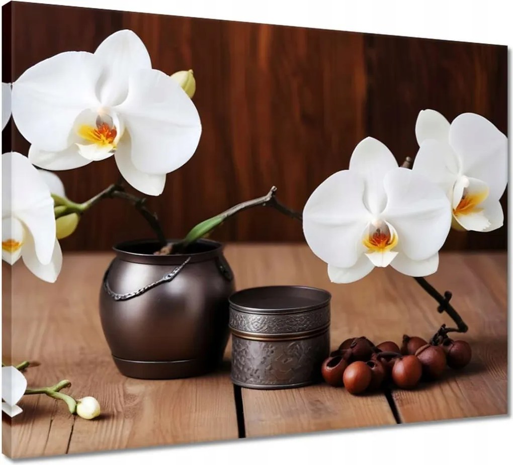 Vászonkép 50x40 Fehér orchideák
