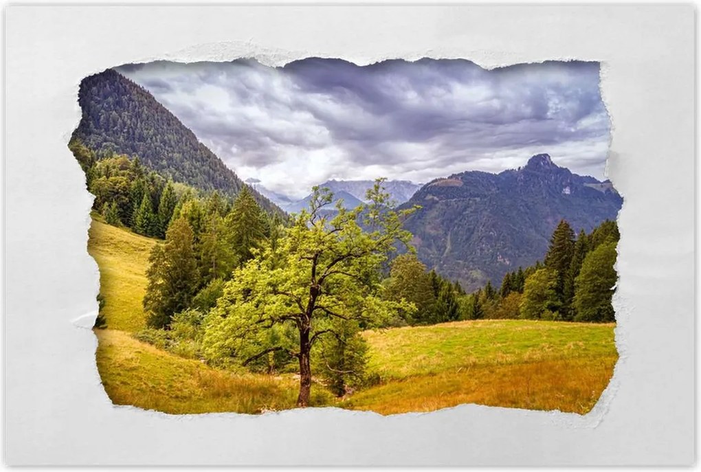 Poszterek 90x60 Fa az égig