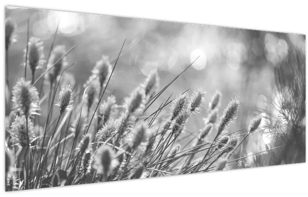 Kép - Bézs színű puha fű N⁰1 (120x50 cm)