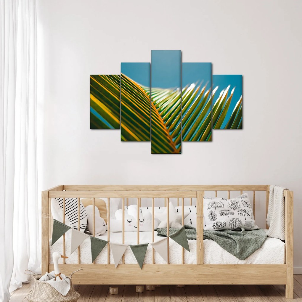 Kép - A pálmalevél részlete (150x105 cm)