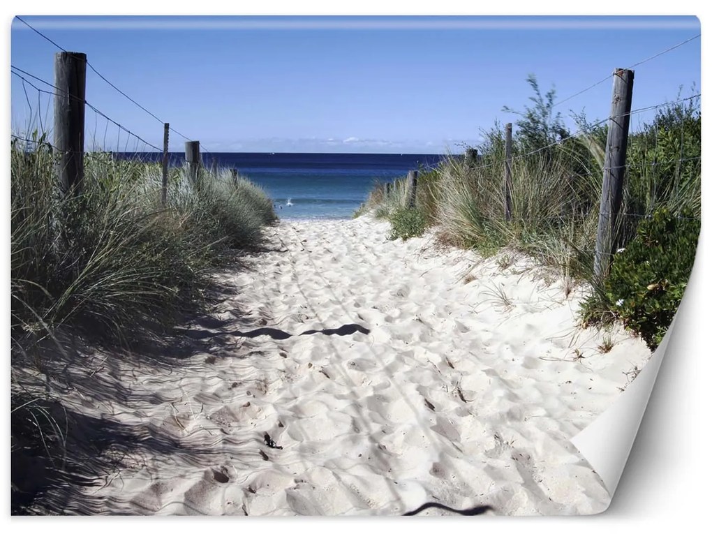 Gario Fotótapéta Út a tengerpartra Anyag: Vlies, Méret: 250 x 175 cm