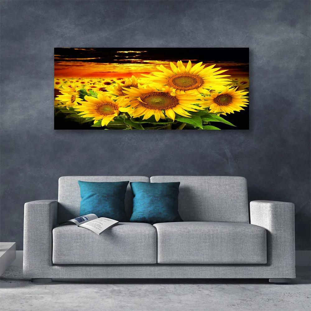Canvas kép Napraforgó virág növény 100x50 cm