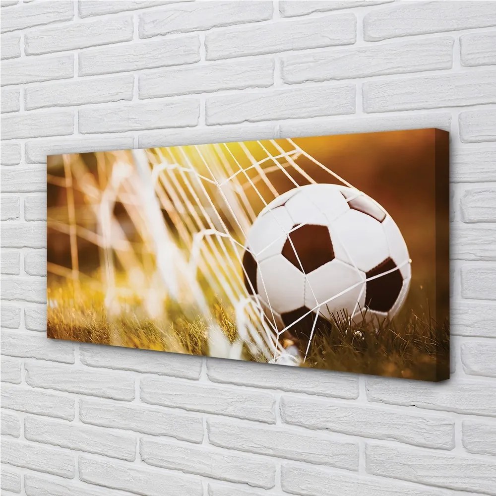 Canvas képek A labda sárga fű háttér 125x50 cm