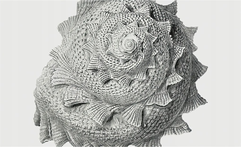 Divatos Flizelin tapéta 3D fali ragasztóval A természet művészete 416x254 Ragasztó