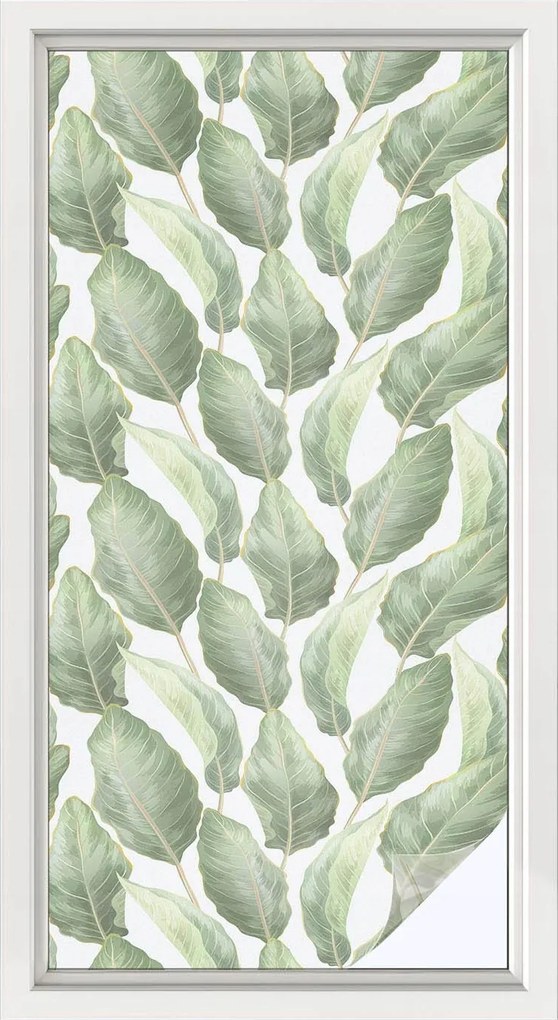 Ablakfólia öntapadós Adatvédelem Zöld levelek 50x100 cm