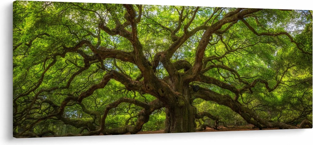 Kép - Zöld fa (120x50 cm)