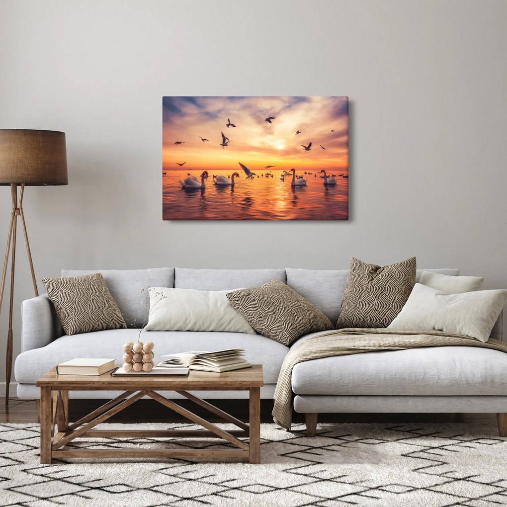 Kép - Hattyúk (90x60 cm)