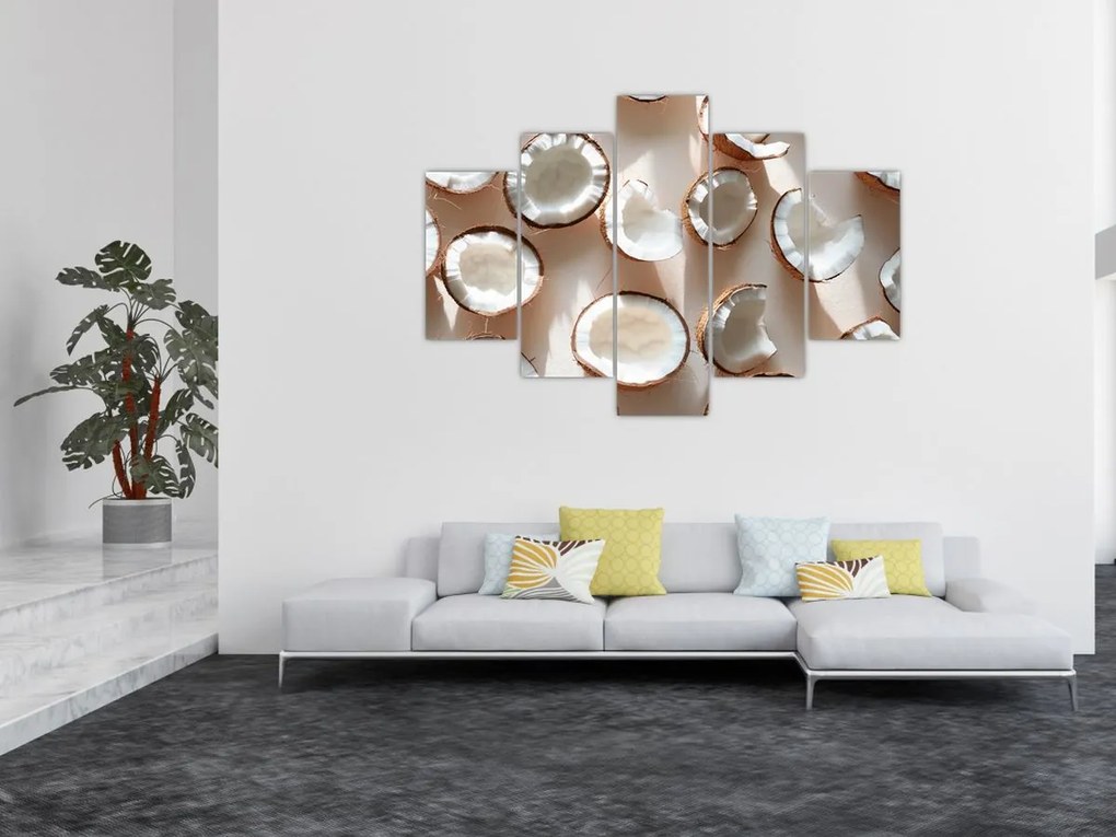 Kép - Kókuszdiók (150x105 cm)