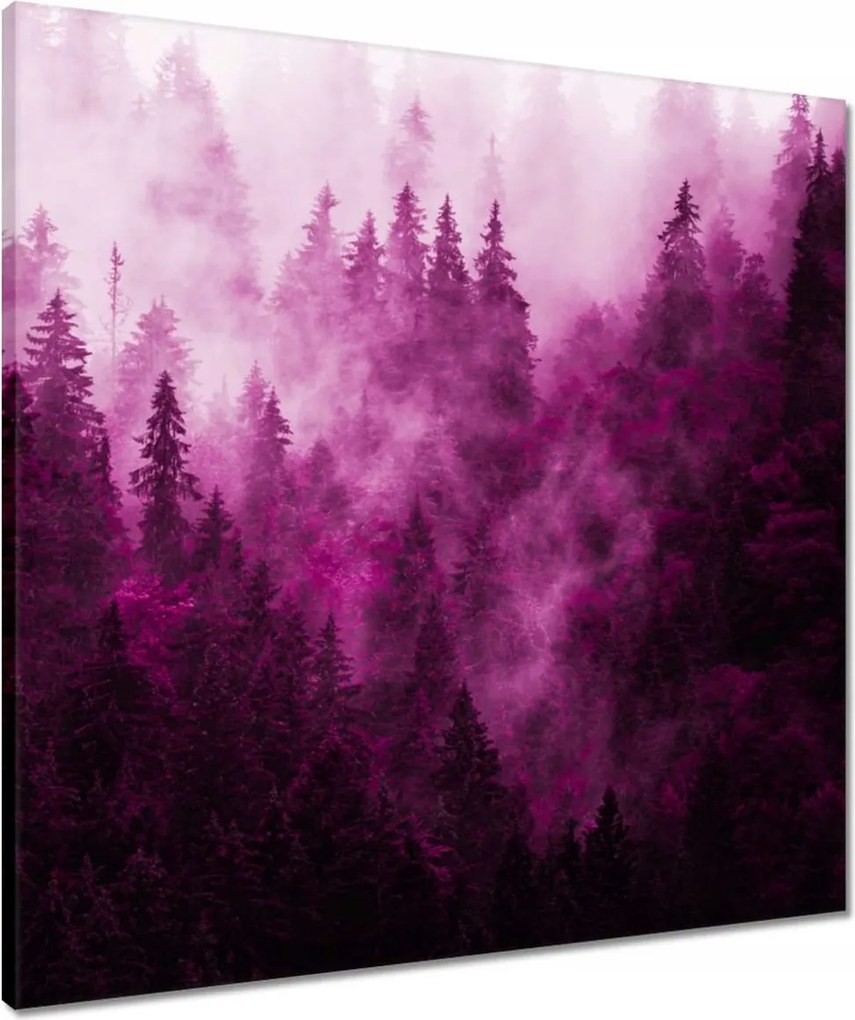 Vászonkép 60x60 Tájkép Rózsák Hegyek Köd