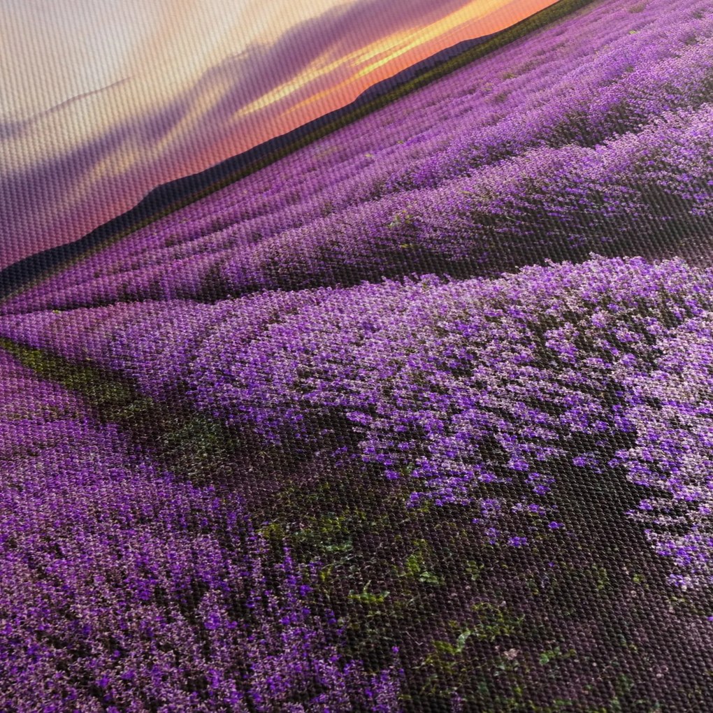 Kép - Levendulamező naplementében (120x50 cm)