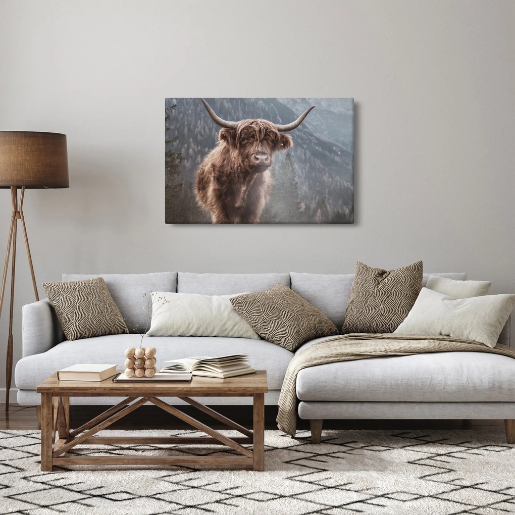 Kép - Highlander tehén (90x60 cm)