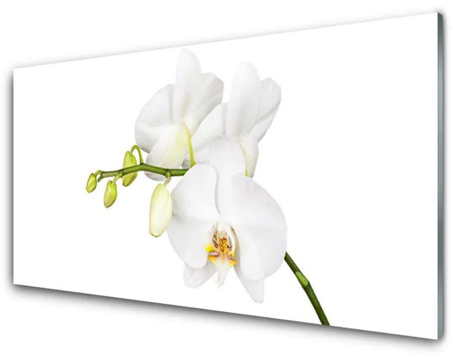 Üvegkép falra Orchidea virágok Természet 140x70 cm