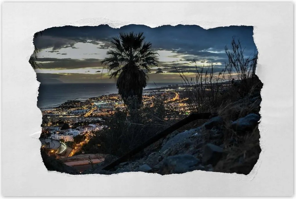 Poszterek 60x40 Tájkép pálmafákkal