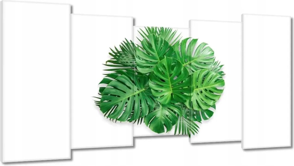 Vászonkép 150x80 Monstera Lyukas levelek