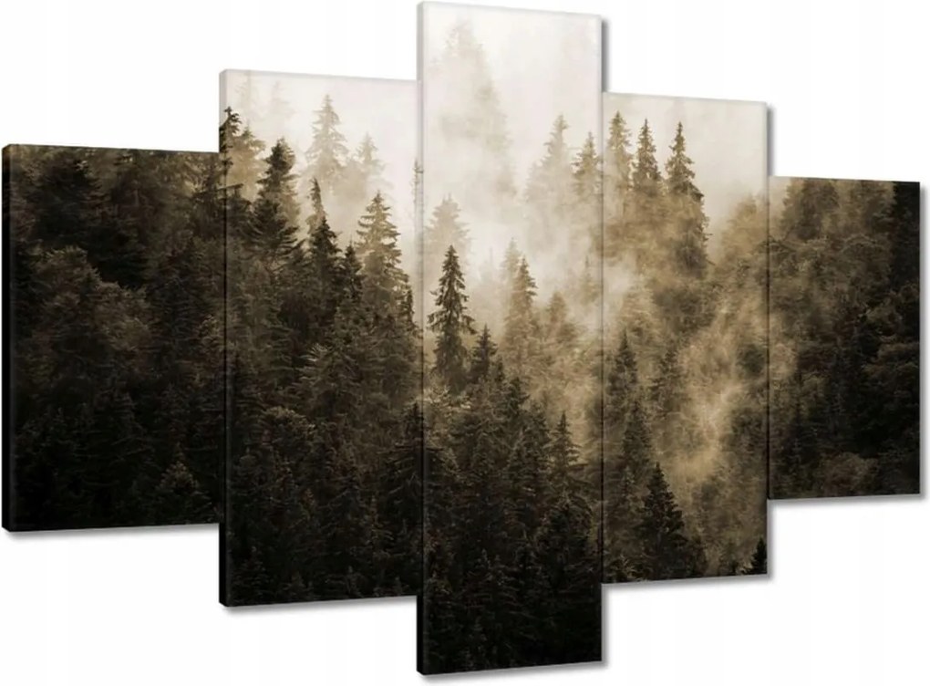 Festmények 150x105 Tájkép Szépia Hegyek Köd