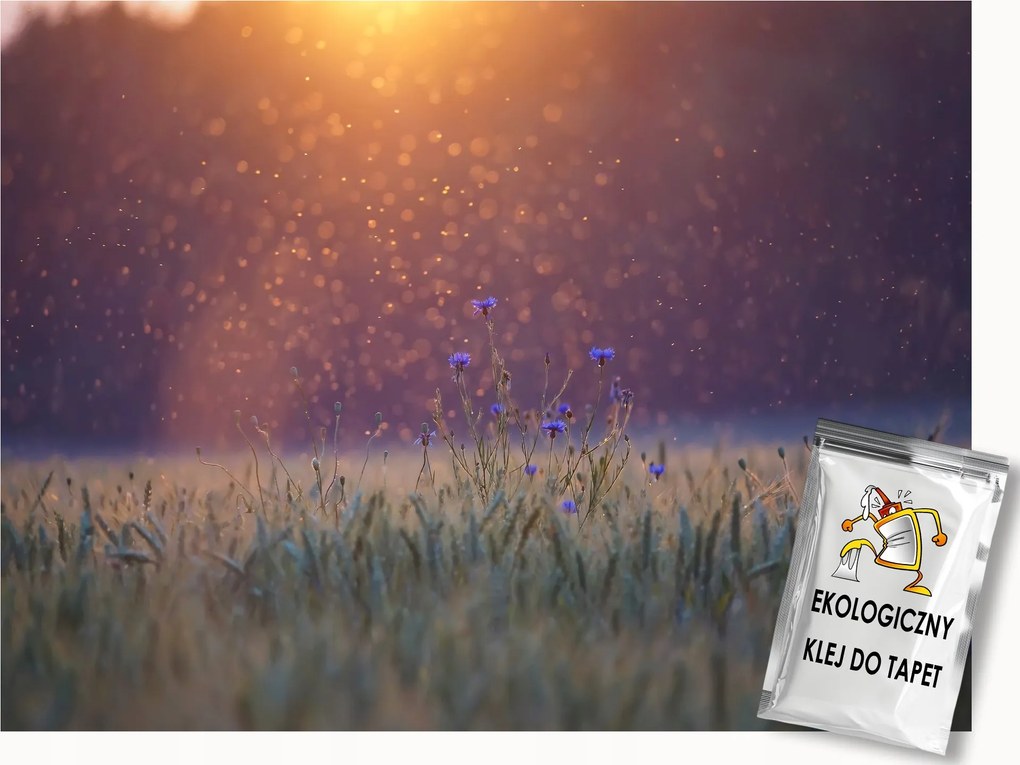 Fotótapéta Flizelina Tájkép Természet Rét Virágok Búzavirág Reggel 400x280 ragasztó