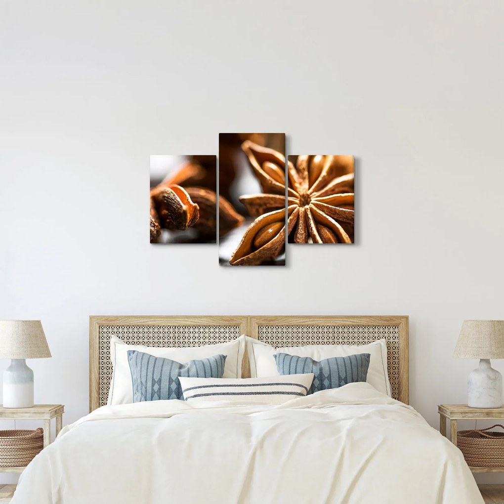 Kép - Anise (90x60 cm)