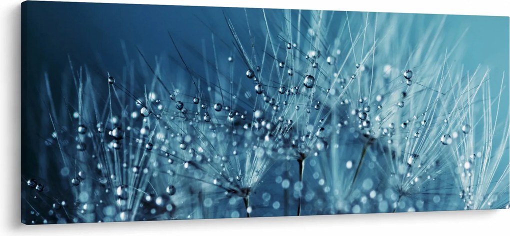 Kép - Harmatcseppek (120x50 cm)