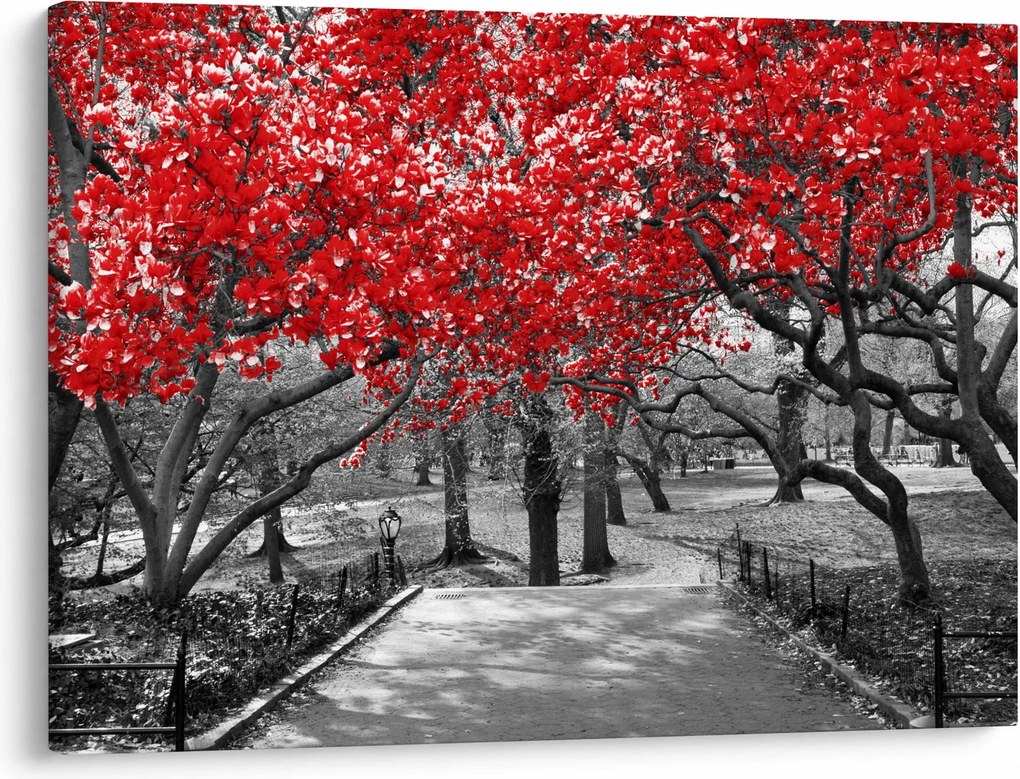 Kép - vörös fák,Central Park, New York (70x50 cm)