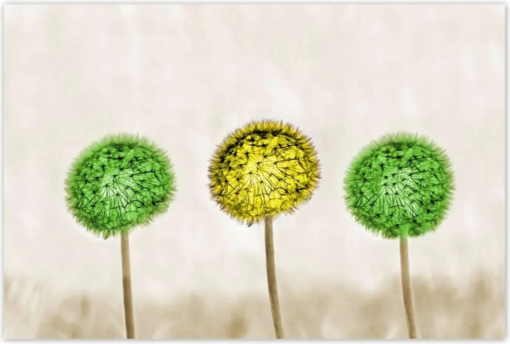 Poszterek 120x80 Sárga a lime között