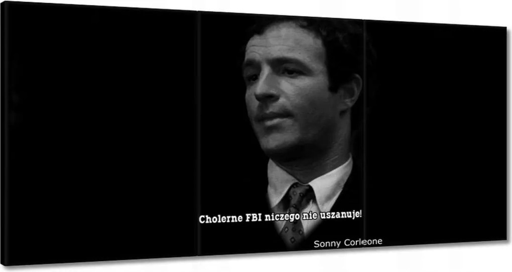 Festmények 120x60 Godfather Sonny Idézetek