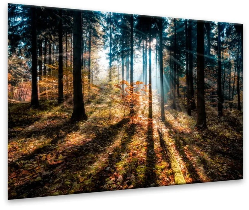 Glasspik Autumn Sunset kép, 70 x 100 cm - Styler