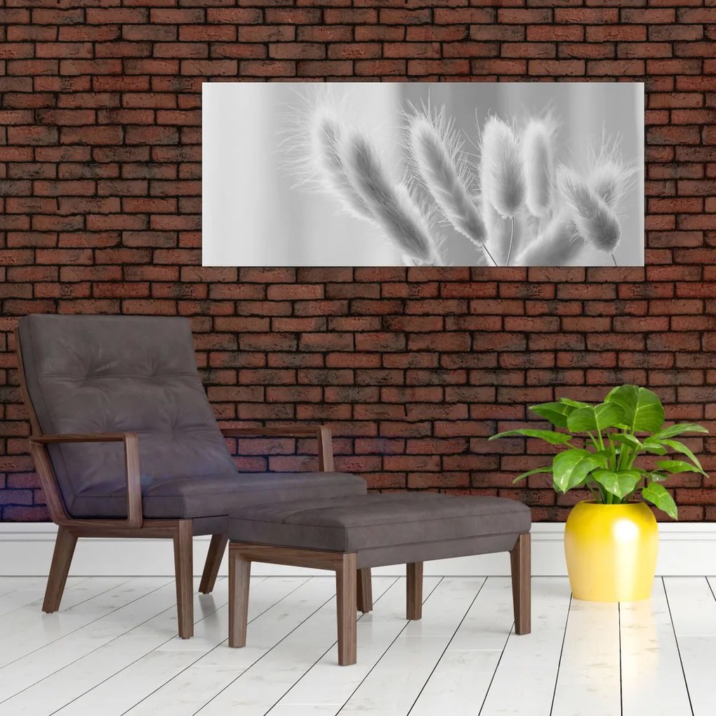 Kép - Nyuszi farok fű (120x50 cm)