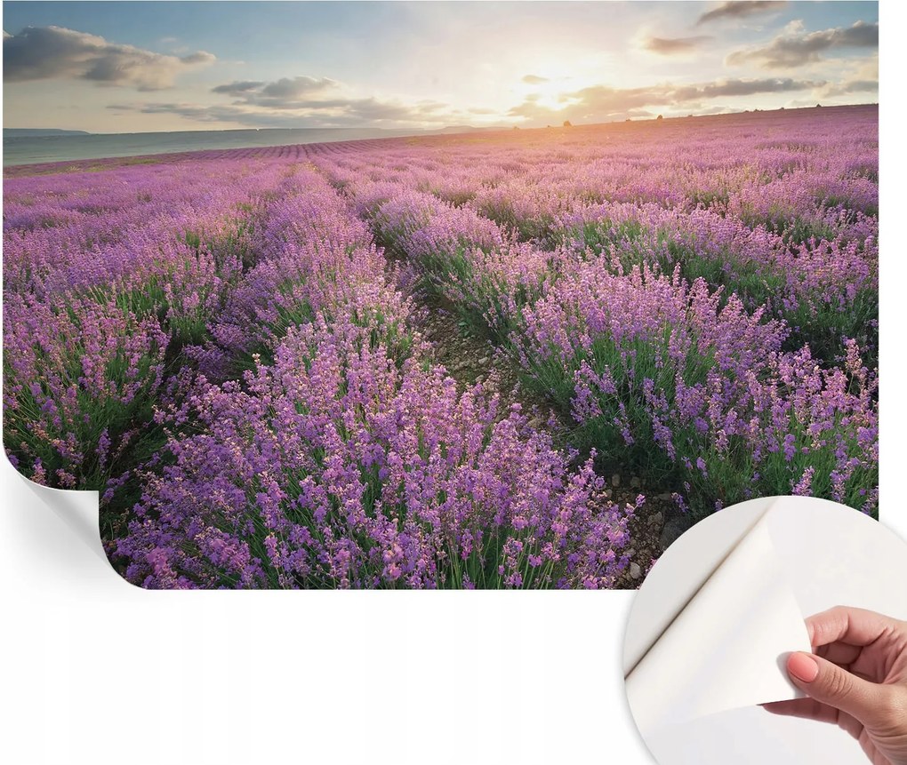 Dekoratív öntapadós fotótapéta Hálószobába Levendula mezők 104x70 cm