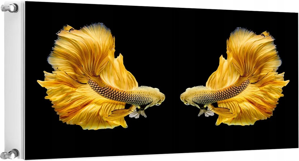 Mágneses Radiátorszőnyeg 120x60 Hal Fotótapéta